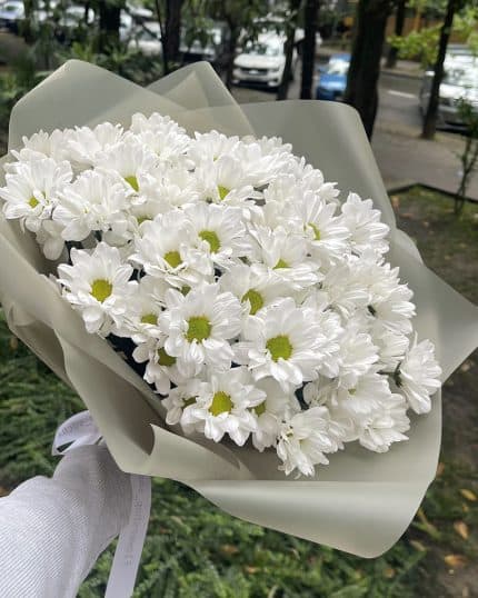 9 хризантем